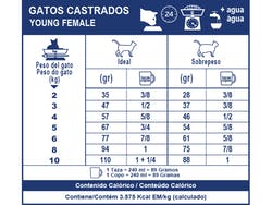 Gatos Castrados-Young Female 3,5 Kg