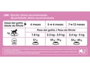 Kitten 1,5 Kg