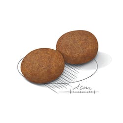 Medium Adult 7+ 3 Kg