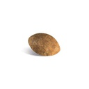 Persian 30 1,5 Kg