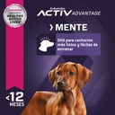 Eukanuba Puppy Large Breed 1 KG