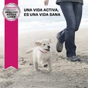 Eukanuba Puppy Medium Breed 15 KG