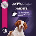 Eukanuba Puppy Medium Breed 15 KG