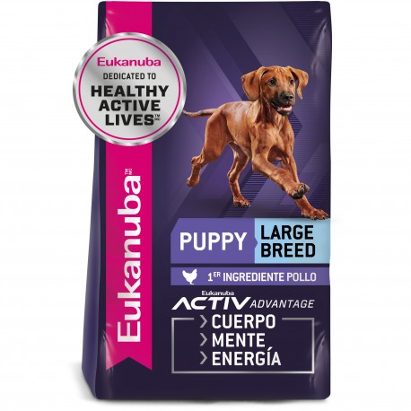 Eukanuba Puppy Large Breed 1 KG