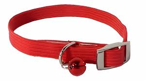Collar Elastizado Con Cascabel