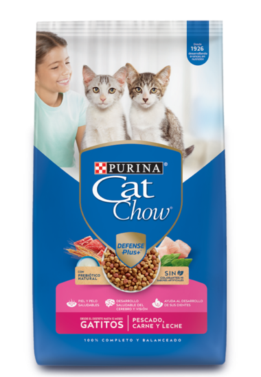 Purina Cat Chow Gatitos  8kg