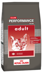 Club Performance Cat