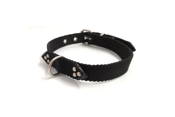 COLLAR ANCHO NYLON FANTASIA 53X3CM. MISTER HUESO