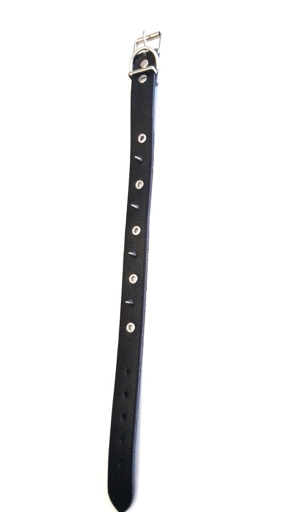 COLLAR CON PUAS 2.5CM X 65CM - DM