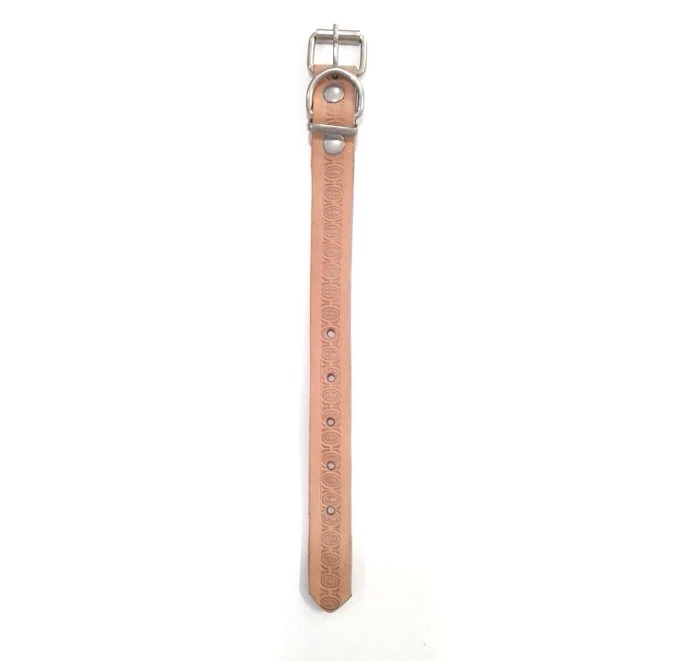 COLLAR CUERO GRABADO 2.5CM X 35CM - DM