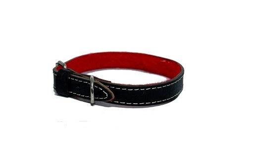 COLLAR DE CUERO CON FELPA Nº3 KIPPER