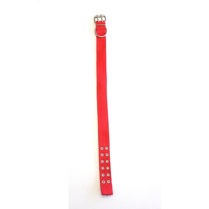 COLLAR DOBLE 40MM X 70CM CON HERRAJE ESPECIAL - FAMILY PETS