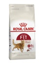 Royal Canin Fit 32 400 Grs