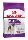 Giant Adult