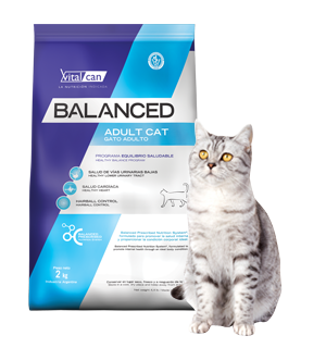 Balanced Gato Adulto x 2 kg.