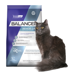 Balanced Gato Senior x 7,5 kg.