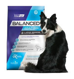 Vital Can Balanced Perro Adulto Raza Grande X 20 Kg.