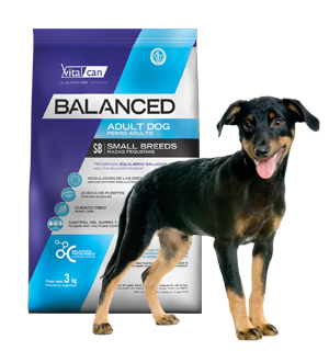 Balanced Perro Adulto Raza Pequeña x 3 kg.