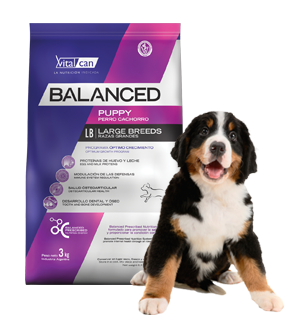 Vital Can Balanced Perro Cachorro Raza Grande X 3 Kg.