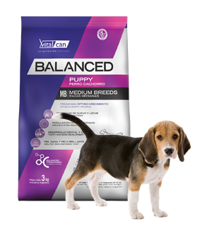 Vital Can Balanced Perro Cachorro Raza Mediana X 20 Kg.