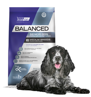 Vital Can Balanced Perro Senior Raza Mediana X 12 Kg.