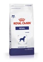 [3916015] RENAL CANINE