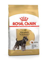 Schnauzer Miniature Adulto