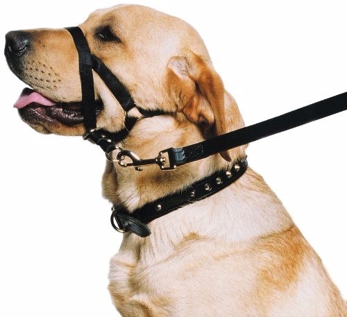 BOZAL HALTI DE ENTRENAMIENTO GRANDE - FAMILY PETS