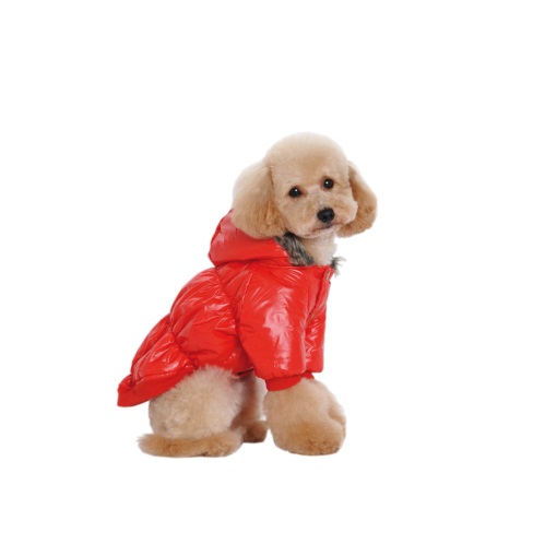 CAMPERA INFLABLE C/PIEL TALLE L - PER-ROS