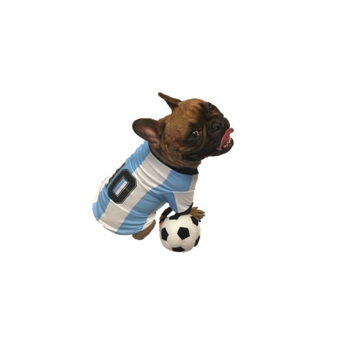 CAMISETA DE ARGENTINA Nº9 65 CM.- PER-ROS
