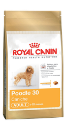 [3841010] Caniche Adulto