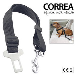 [07500800] Cinturon de Seguridad 5 cm Regulable