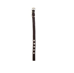 [231417] COLLAR 15MM X 33CM - FAMILY PETS