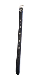 [290089] COLLAR CON PUAS 2.5CM X 65CM - DM