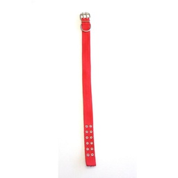 [231094] COLLAR DOBLE 40MM X 70CM CON HERRAJE ESPECIAL - FAMILY PETS