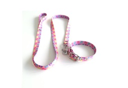 [620315] CONJ. COLLAR FINO 35CM Y CORREA FINA 110CM. - MISTER HUESO