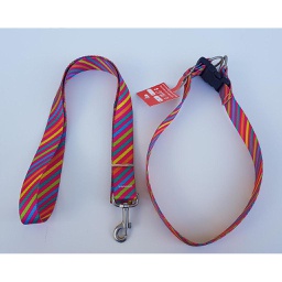 [24020] conjunto collar regulable y correa poliester n°4