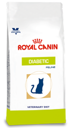 [2106115] DIABETIC FELINE