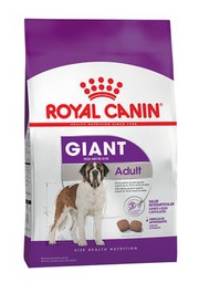 [60011308] Giant Adult
