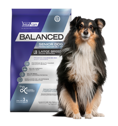 [11731] Vital Can Balanced Perro Senior Raza Grande X 15 Kg.