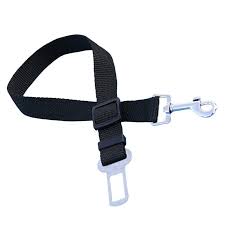 Cinturon de Seguridad Fino 2.5 cms Regulable