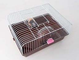 [13016] HAMSTERA 31X24X17 CM