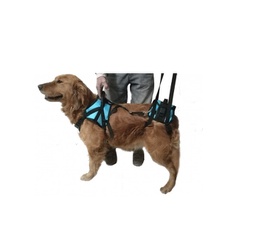 [151165] ORT. ARNES PARA ANTERIORES EXTRA LARGE - PER-ROS