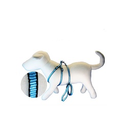 [339240] CONJUNTO CORREA Y PRETAL BORDE 10MM - MILLEX