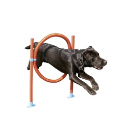 [339045] AGILITY HOOP JUMP - IMPORTADO