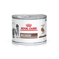 [3402234] RECOVERY              Lata (12x195g)